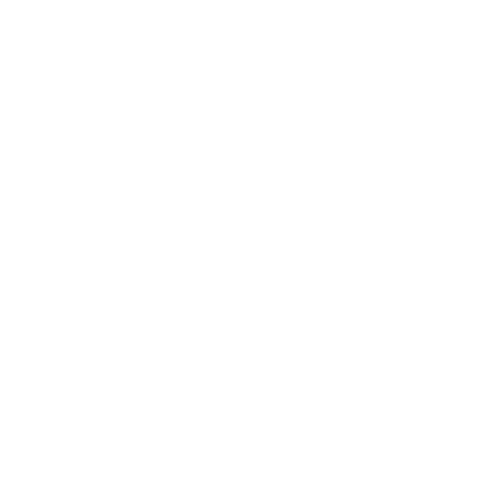 «Бастион»